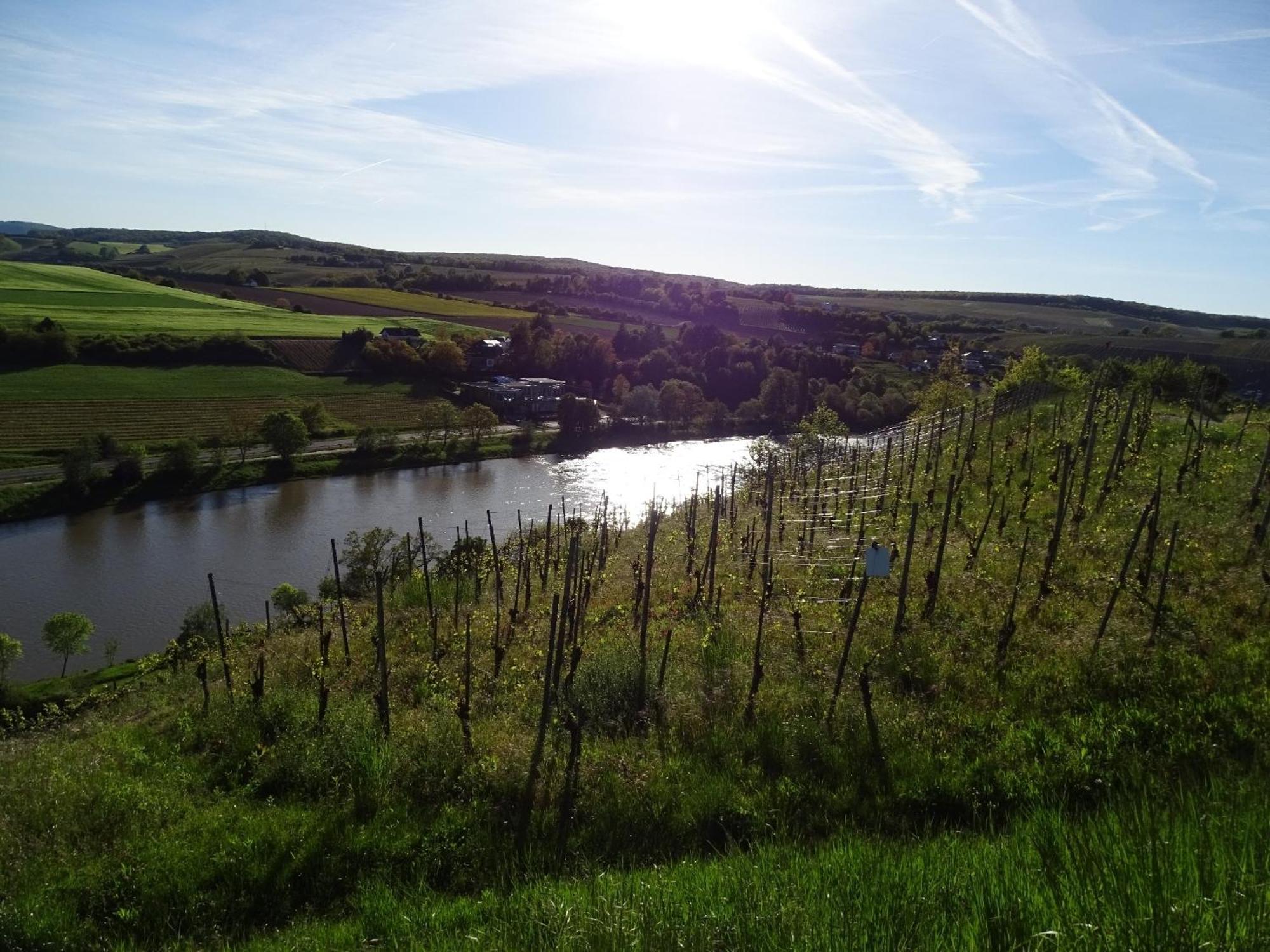 Holiday Apartment Near The Moselle With Terrace Wehr  Esterno foto